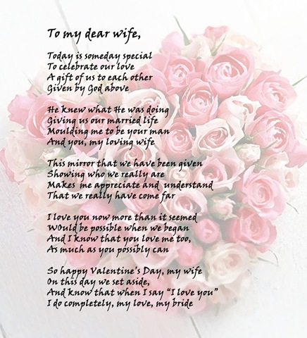 Happy Valentine’s Day, my wife!
