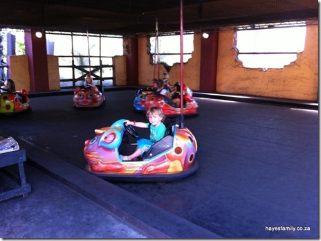 IMG_5713 IMG_5713