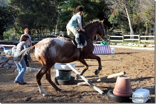 IMG_5935 IMG_5935