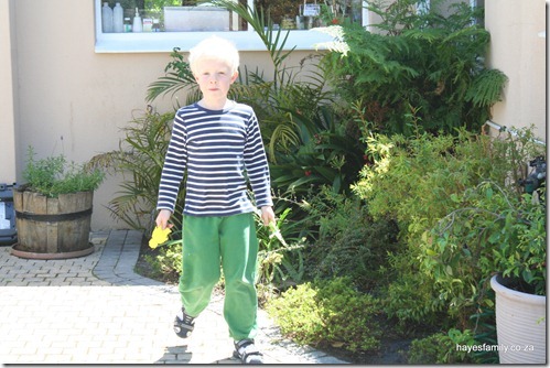 IMG_0522 IMG_0522